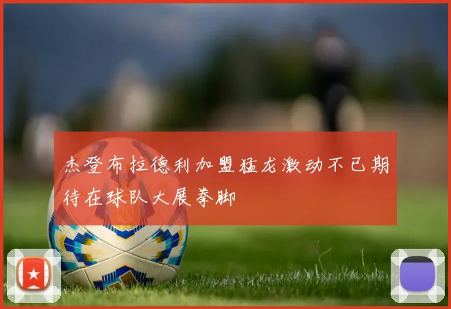 杰登布拉德利加盟猛龙激动不已期待在球队大展拳脚